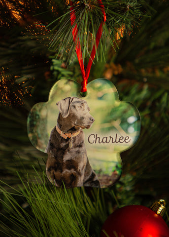Acrylic Paw Print Pet Christmas Ornament